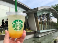 〜東京御朱印巡り〜フラフラ編