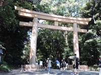 明治神宮で参拝