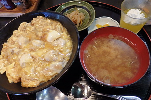 地鶏親子丼と猫 地鶏親子丼と猫