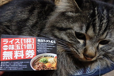 オープン徳島ラーメン オープン徳島ラーメン