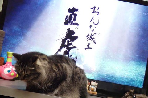 アンジュ日替わり弁当
