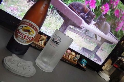 ﾀﾞｯｼｭﾋﾞｰﾙｱﾝｼﾞｭ