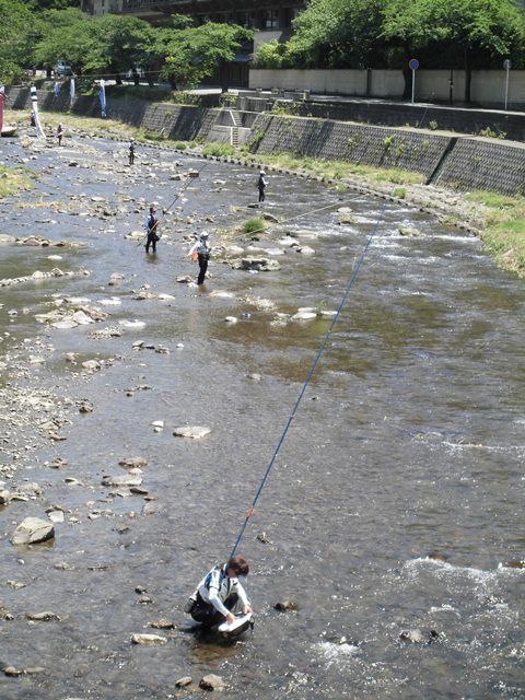 温海川の鮎釣り