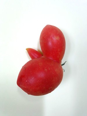 変形トマト、、、何に見える？