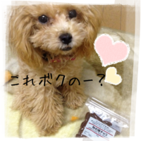 ロメオ