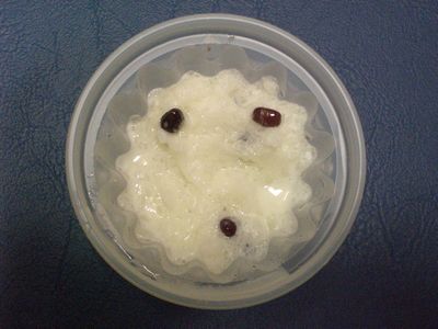 ・・・食べないで・・・