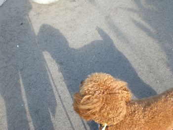 ・・・ゆっくり散歩・・・