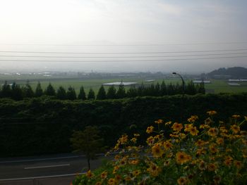 ・・・ゆっくり散歩・・・