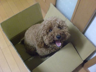 ・・・紅一点・・・
