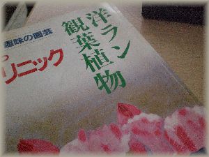 ・・・じゃじゃ丸♪ぴっころ♪・・・