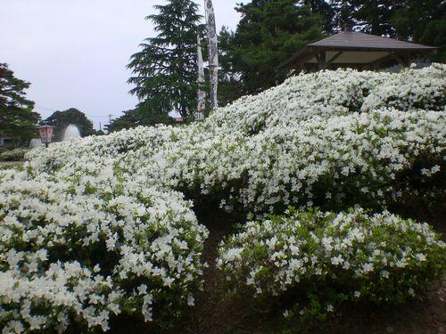 清楚と豪華・・・入園無料はうれしい♪