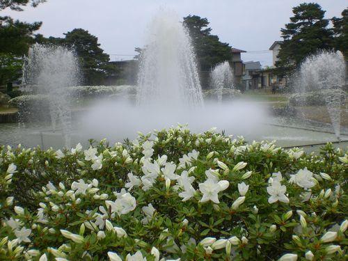 清楚と豪華・・・入園無料はうれしい♪