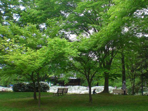 清楚と豪華・・・入園無料はうれしい♪