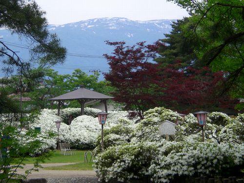 清楚と豪華・・・入園無料はうれしい♪