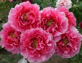 清楚と豪華・・・入園無料はうれしい♪
