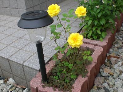 ☆電気代・・お得？☆