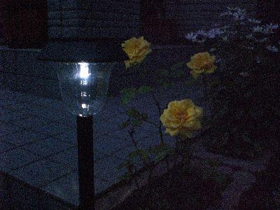 ☆電気代・・お得？☆