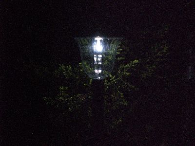 ☆電気代・・お得？☆
