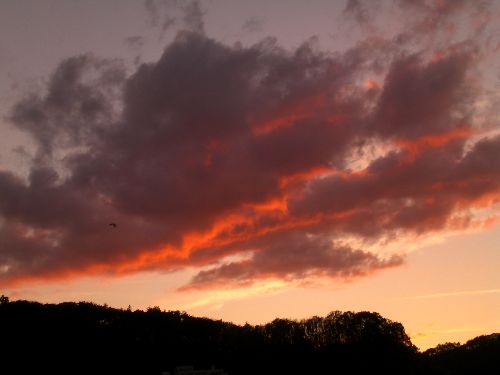 ♪今日の夕景♪