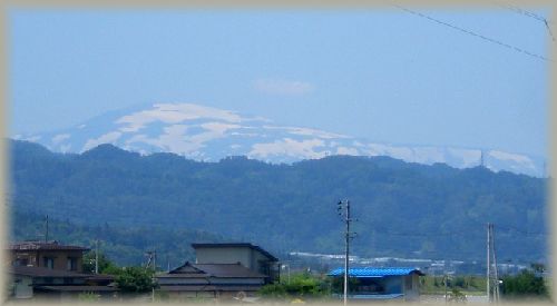 今日の寛ぎ喫茶♪