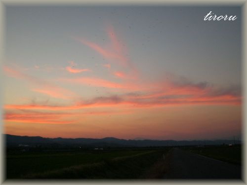 昨日も焼けた~♪