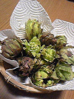 ☆今日の収穫^^☆