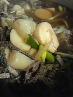 ☆昨日の夜は( ^ー゜)b☆