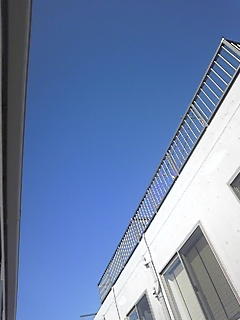 ☆嵐が去って☆