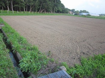 有志で蕎麦作り♪①