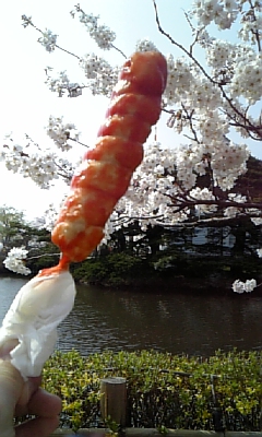 桜日和