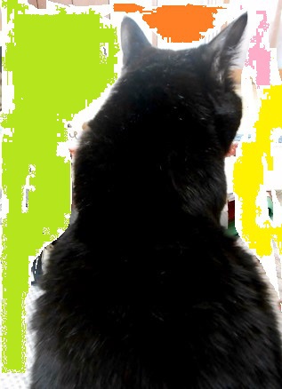 黒猫アート♪