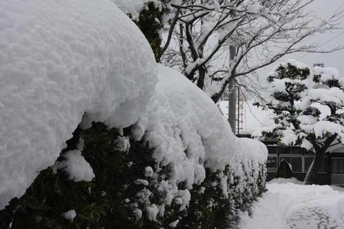 雪　雪　雪　