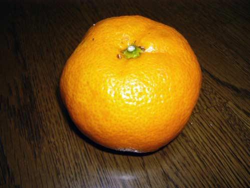 京都弁?