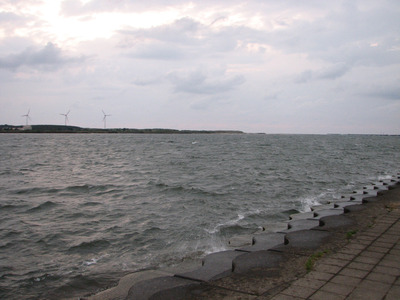 河口