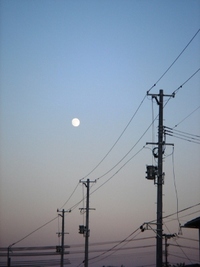 満月まじか・・・