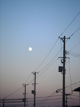 夕方の月