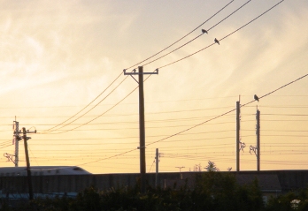 夕焼け