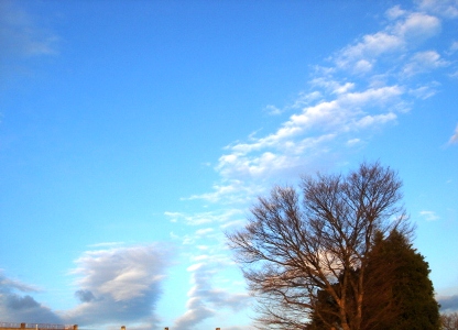 白い雲