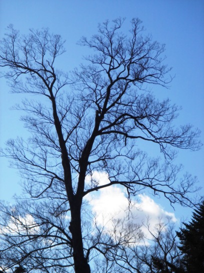 青空