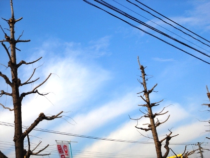 白い雲