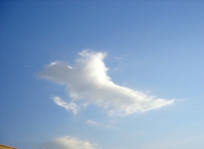白い雲
