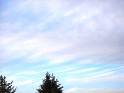 雲