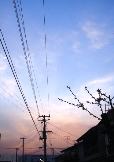 夕焼け