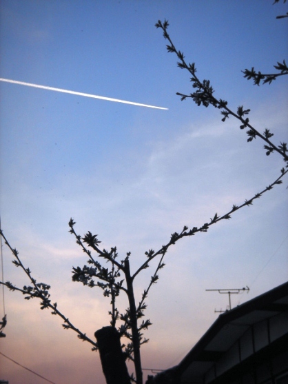 飛行機雲