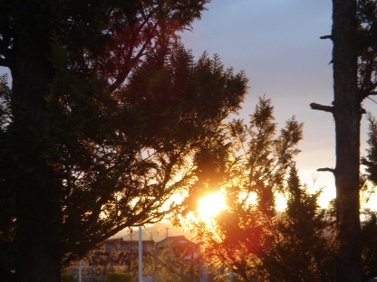 夕日