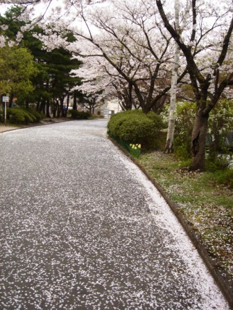 花小路