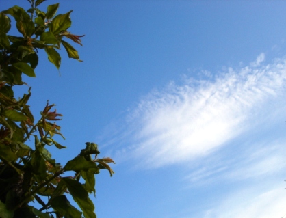 白い雲