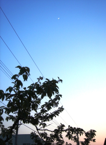 夕焼け