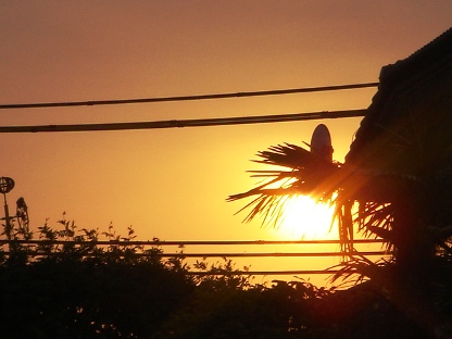 夕日