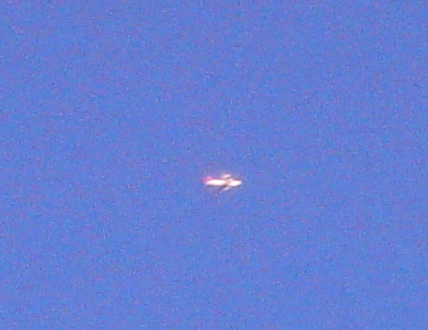 飛行機